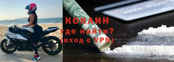 шишки Наволоки