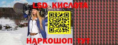 дживик Гай