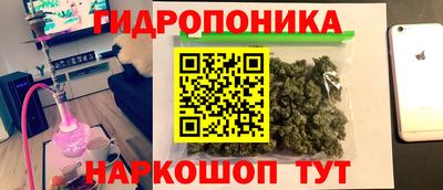 mdpv Гатчина