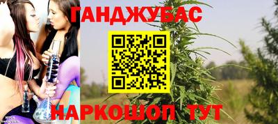 mdpv Гатчина