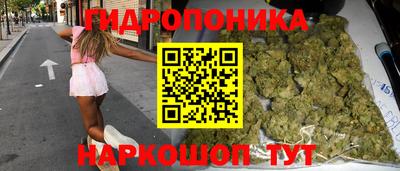 PSILOCYBIN Балахна