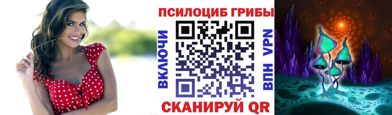 даркнет сайт Камышлов Псилоцибиновые грибы Psilocybine cubensis