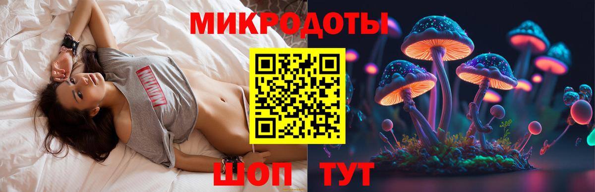 Галлюциногенные грибы GOLDEN TEACHER  Псилоцибиновые грибы Psilocybine cubensis  Камышлов  где найти   Вход с VPN 